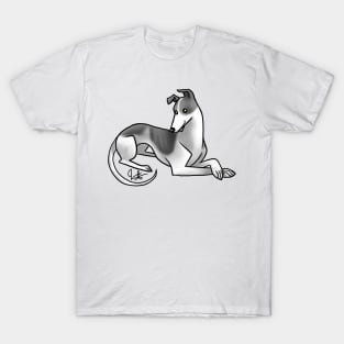 Dog - Greyhound - Black and White T-Shirt
